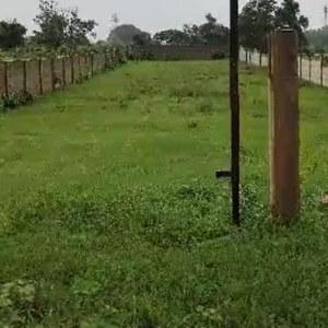 20 Decimal Elite Plot