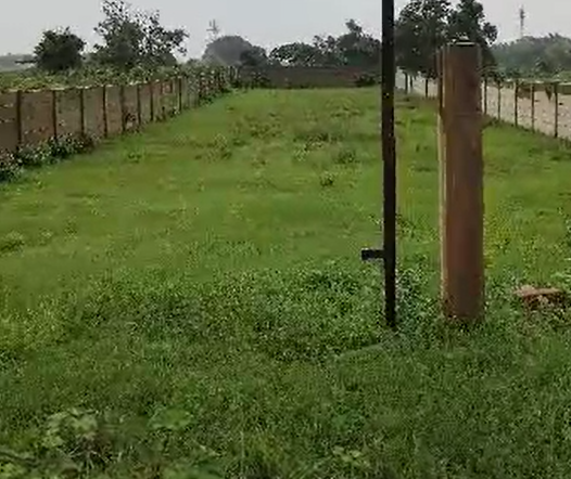 20 Decimal Elite Plot